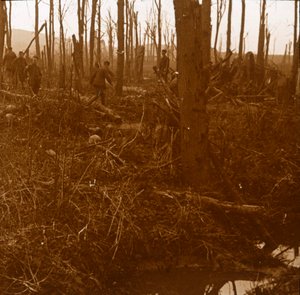 Kemmelberg, Flandern, Belgien, ca. 1914-1918 von Unbekannt