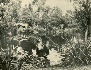 Mr. Ryans Gärten, Mount Macedon, Victoria, 1901