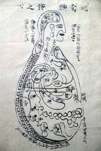 Museum für traditionelle vietnamesische Medizin, Die Kanäle und Gefäße, Buch der Akupunktur, Ho-Chi-Minh-Stadt, Vietnam von Unbekannt