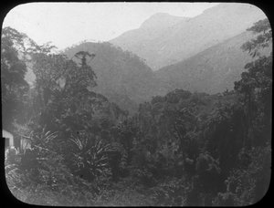 In der Nähe von Petrópolis, Rio de Janeiro, Brasilien, spätes 19. oder frühes 20. Jahrhundert von Unbekannt