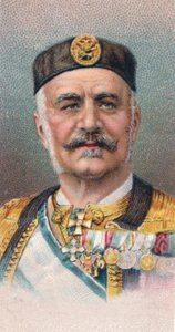 Nikolaus I. 1841-1921, König von Montenegro, 1917