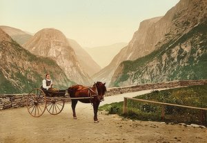 Norwegisches Bauernmädchen auf einem Pferdewagen von Unbekannt