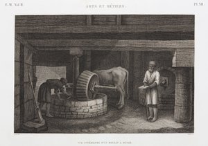 Öle, Fette & Wachse, Ölmühle, Ägypten, ca. 1798 von Unbekannt