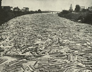 Auf dem Weg zu den Sägewerken, ca. 1948 von Unbekannt