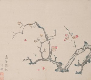 Seite aus Shi Zhu Zhai von Unbekannt