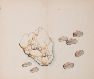 Seite aus Shi Zhu Zhai von Unbekannt
