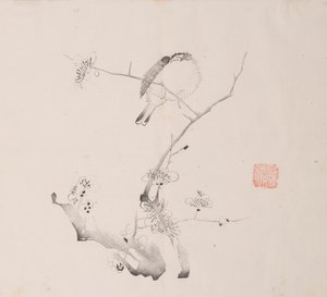 Seite aus Shi Zhu Zhai von Unbekannt