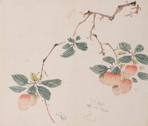 Seite aus Shi Zhu Zhai