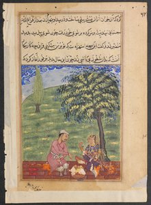 Seite aus Geschichten eines Papageis Tuti-nama: Achte Nacht: Die untreue Frau erklärt..., ca. 1560