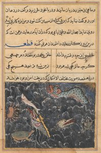 Seite aus den Geschichten eines Papageis Tuti-nama: Elfte Nacht: Die Kreaturen des Meeres, ca. 1560 von Unbekannt