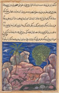 Seite aus Geschichten eines Papageis Tuti-nama: Fünfzehnte Nacht: Die Katze greift die Mäuse an..., 1558-1560 von Unbekannt