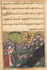 Seite aus Geschichten eines Papageis Tuti-nama: Sechzehnte Nacht: Die Schwiegertochter..., ca. 1560