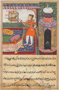 Seite aus Geschichten eines Papageis Tuti-nama: Zehnte Nacht: Der Papagei spricht zu Khujasta..., ca. 1560 von Unbekannt