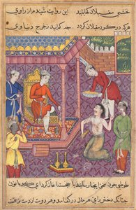 Seite aus Geschichten eines Papageis Tuti-nama: Fünfunddreißigste Nacht: Der verkleidete Magier..., ca. 1560