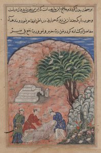 Seite aus Geschichten eines Papageis Tuti-nama: Zwanzigste Nacht: Die Freier nehmen..., um 1560