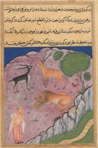 Seite aus Geschichten eines Papageis Tuti-nama: Einundzwanzigste Nacht: Der Brahmane..., um 1560 von Unbekannt