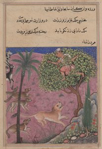 Seite aus den Geschichten eines Papageis Tuti-nama: Einundzwanzigste Nacht: Der Wolf und der Schakal..., ca. 1560 von Unbekannt