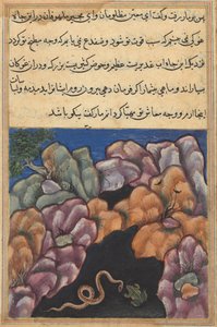 Seite aus den Geschichten eines Papageis Tuti-nama: Sechsundzwanzigste Nacht: Die Schlange tritt ein..., um 1560 von Unbekannt