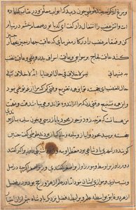 Seite aus den Geschichten eines Papageis Tuti-nama: Textseite, ca. 1560 von Unbekannt