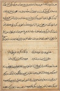 Seite aus den Geschichten eines Papageis Tuti-nama: Textseite, ca. 1560 von Unbekannt