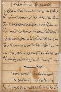 Seite aus Geschichten eines Papageis Tuti-nama: Textseite, ca. 1560 von Unbekannt