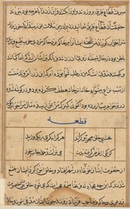 Seite aus den Geschichten eines Papageis Tuti-nama: Textseite, ca. 1560 von Unbekannt