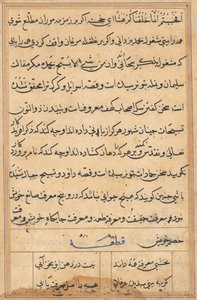 Seite aus Tales of a Parrot Tuti-nama: Textseite