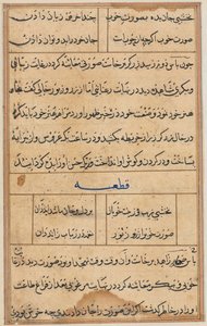 Seite aus Geschichten eines Papageis Tuti-nama: Textseite, ca. 1560 von Unbekannt