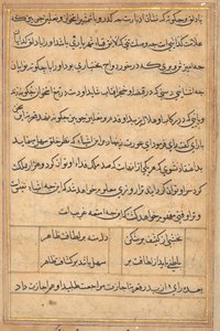 Seite aus Geschichten eines Papageis Tuti-nama: Textseite, ca. 1560 von Unbekannt