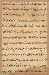 Seite aus den Geschichten eines Papageis Tuti-nama: Textseite, ca. 1560 von Unbekannt