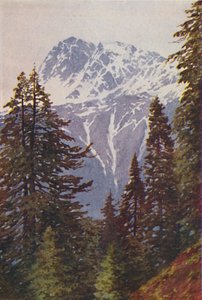 Gipfel im Himalaya, 1924