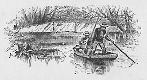 Barschangeln am See, 1883