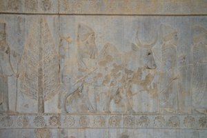 Persepolis, Iran von Unbekannt