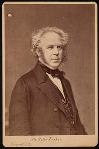 Porträt von Peter Parker 1804-1888, vor 1888