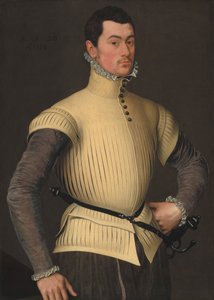 Porträt eines jungen Mannes, 1558