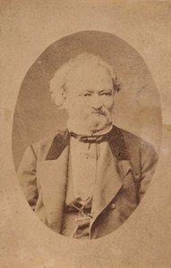 Porträt des Pianisten und Komponisten Ferenc Erkel 1810-1893, ca. 1875 von Unbekannt