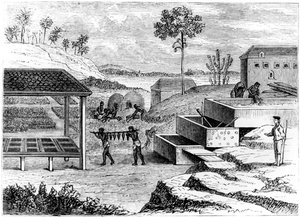 Indigo-Vorbereitung, Santo Domingo, 1873 von Unbekannt