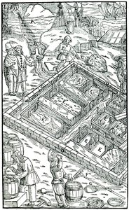 Salzgewinnung durch Verdunstung von Meerwasser in Salinen, 1556 von Unbekannt