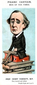 Prof. Henry Fawcett, MP, 19. Jahrhundert von Unbekannt