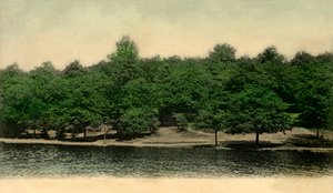 Queensmere, Wimbledon Common, London, 1903