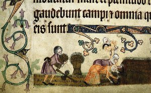 Ernten und Binden von Garben aus dem Luttrell Psalter, um 1330 von Unbekannt
