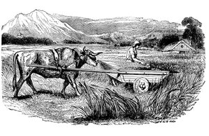 Rekonstruktion eines römischen Erntewagens, wie von Plinius beschrieben, Gravur