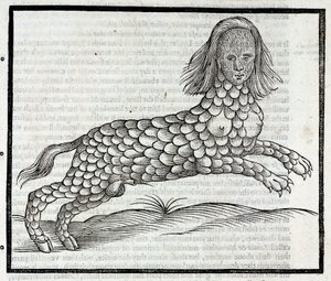 Darstellung der Kreatur Lamia (Sybaris), Gravur aus 