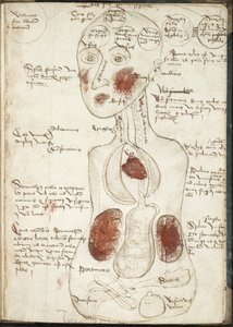Darstellung einer aristotelischen Theorie des Bewusstseins aus: De corpore et anima