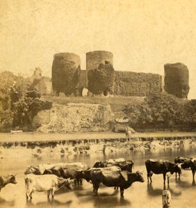 Rhuddlan - Schloss vom Fluss aus, ca. 1900 von Unbekannt