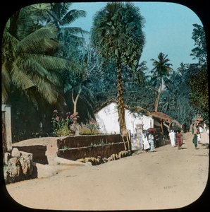Straße von Colombo nach Galle, Colombo, Ceylon von Unbekannt