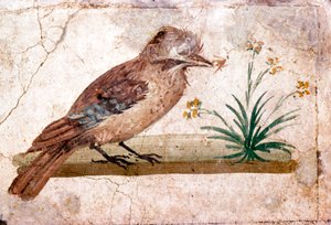 Römische Wandmalerei eines Eichelhähers aus Boscoreale bei Pompeji, 1. Jahrhundert