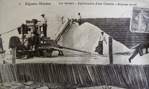 Salzwerke, Camargue, Aigues-Mortes, Provence, Frankreich von Unbekannt