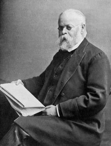 Samuel Plimsoll, britischer Politiker und Sozialreformer, späte 19. Jahrhundert von Unbekannt