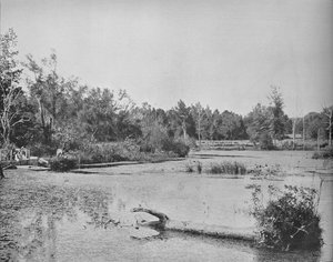 Szene in Mississippi